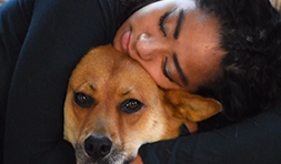 Foster To Furever Thumbnail