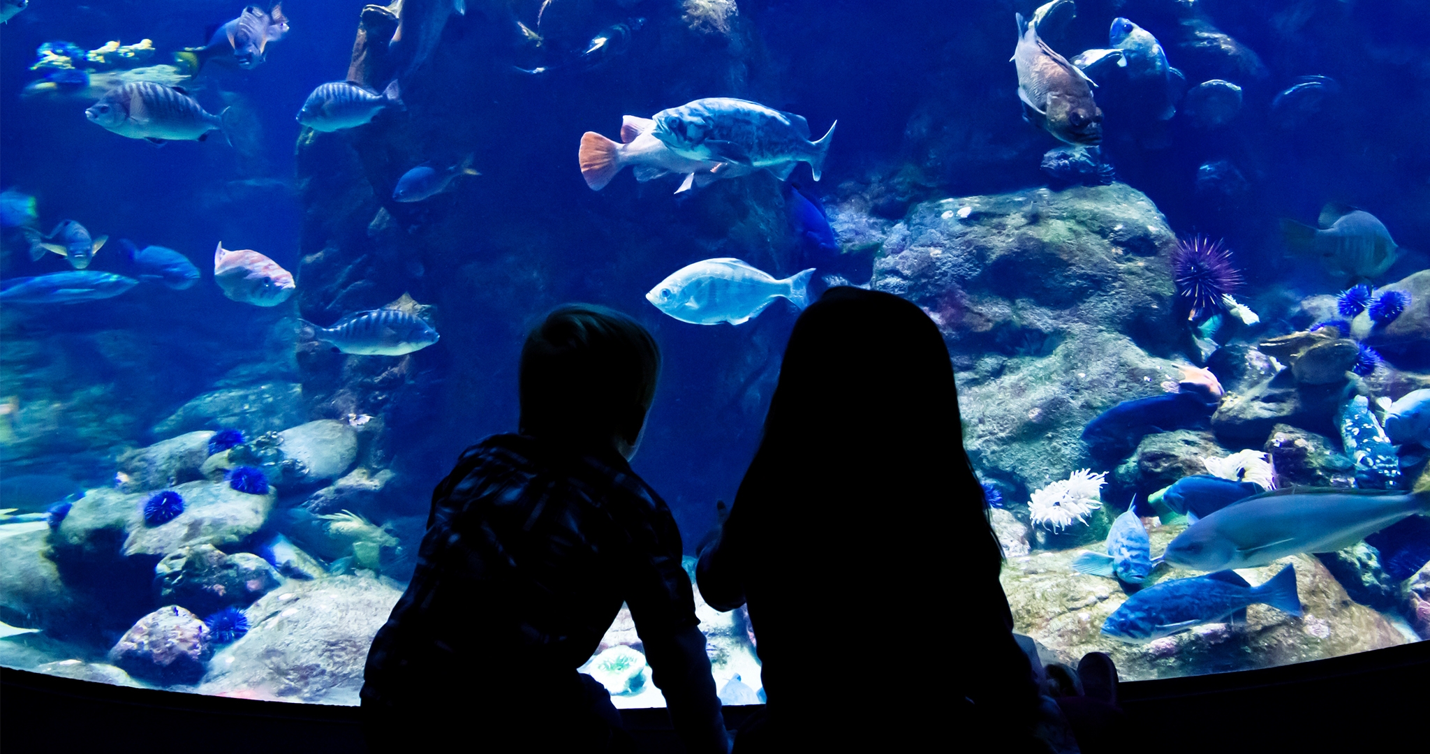 Kids At Zoo