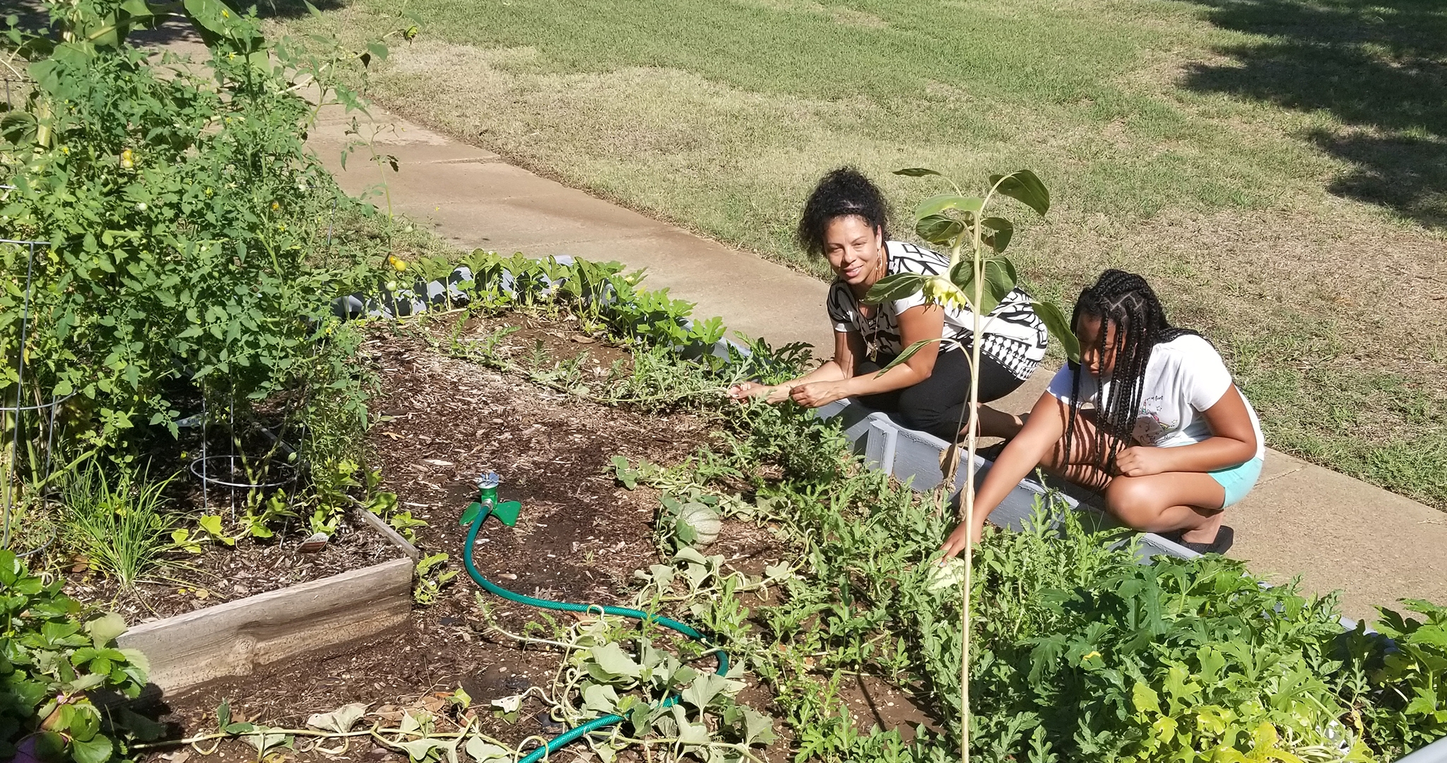 Spf Garden Header