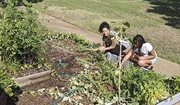 Spf Garden Thumbnail